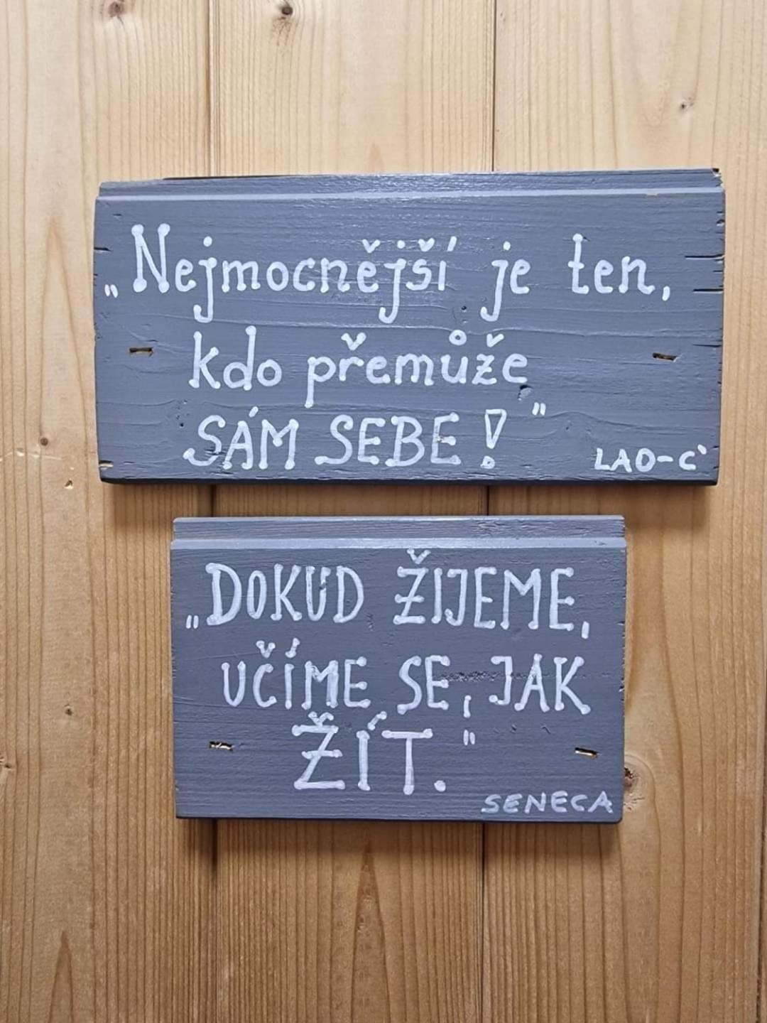 Penzion Slunecnice Kurimska Nova Ves Exteriér fotografie